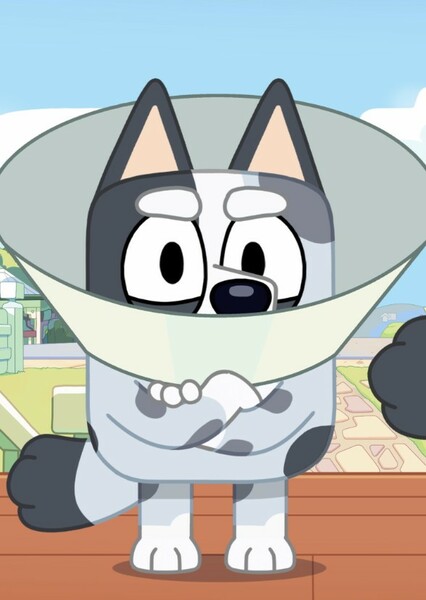 Muffin Cone (Bluey episode)