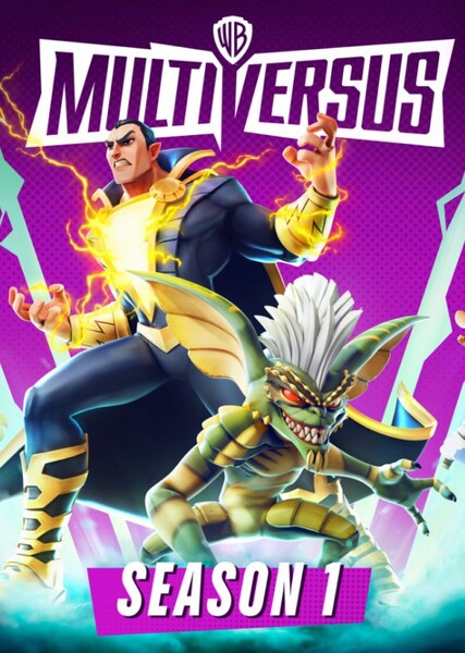 MultiVersus photo