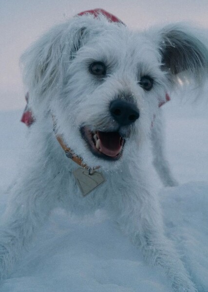 Murphy Weed photo