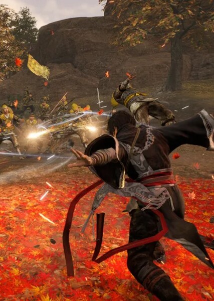 Musou photo