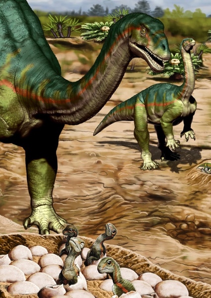 Mussaurus photo