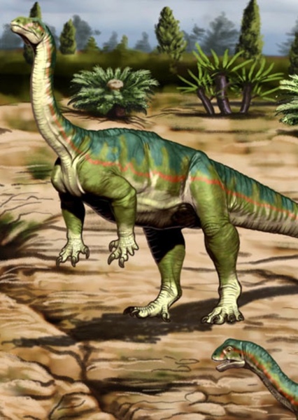 Mussaurus photo