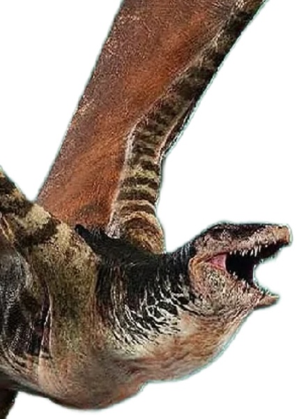 Mutadon photo