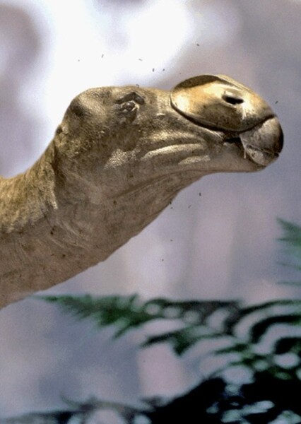 Muttaburrasaurus photo