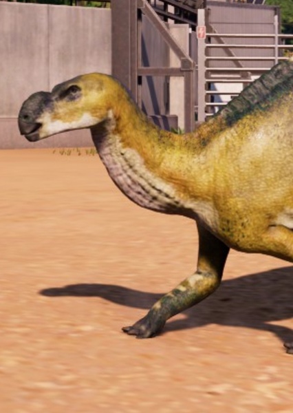 Muttaburrasaurus
