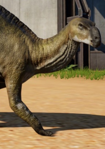 Muttaburrasaurus photo