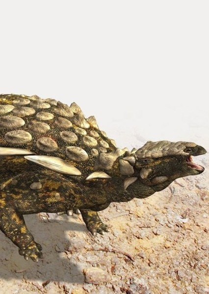 Mymoorapelta
