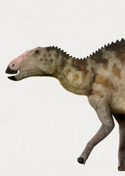 Naashoibitosaurus