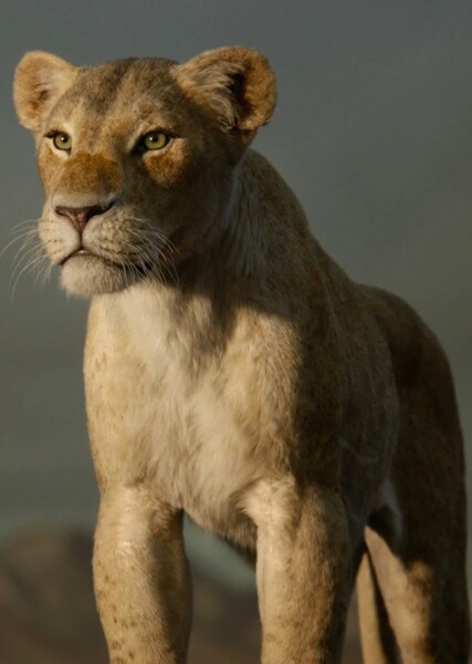 Nala