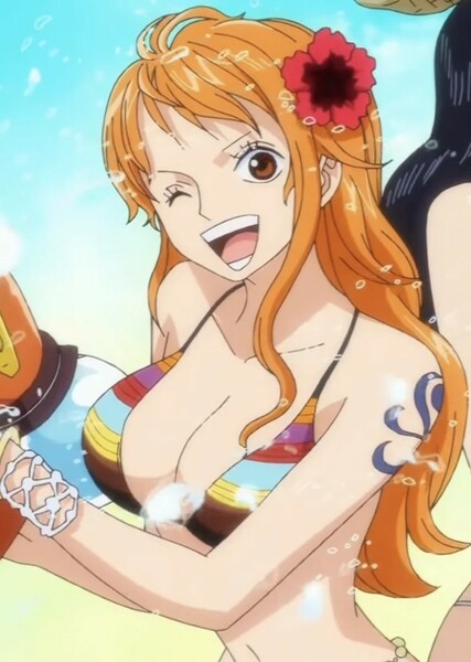 Nami photo