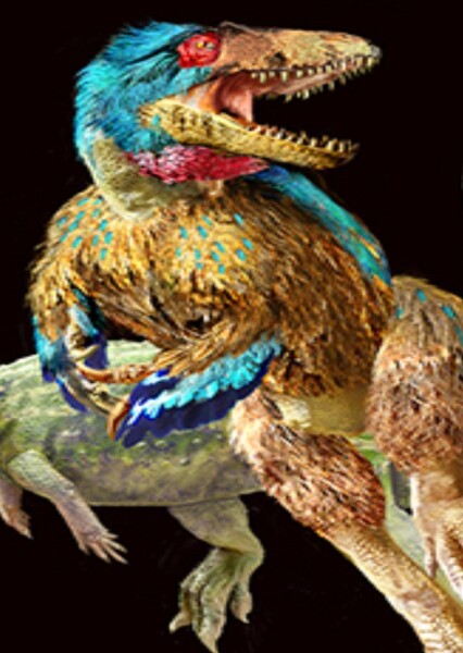 Nanotyrannus