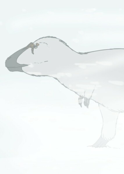 Nanuqsaurus photo