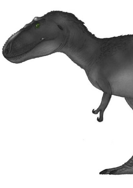 Nanuqsaurus photo