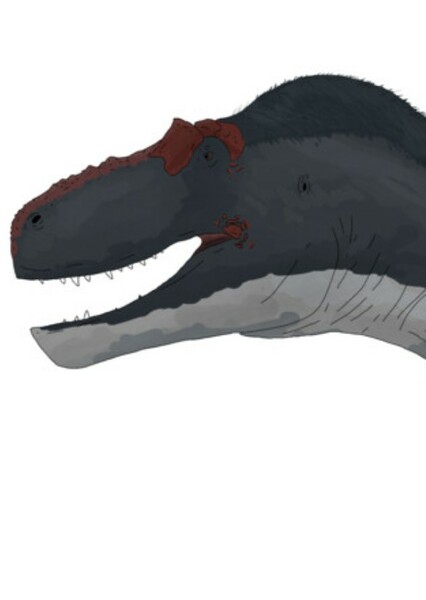 Nanuqsaurus photo