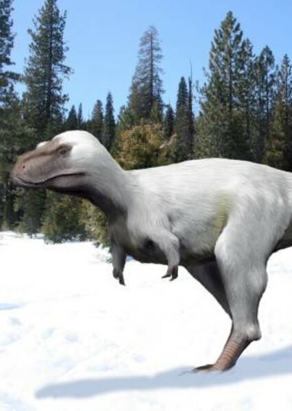 Nanuqsaurus photo