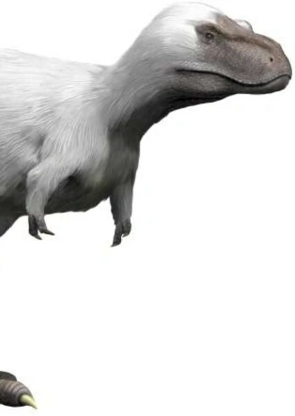 Nanuqsaurus photo