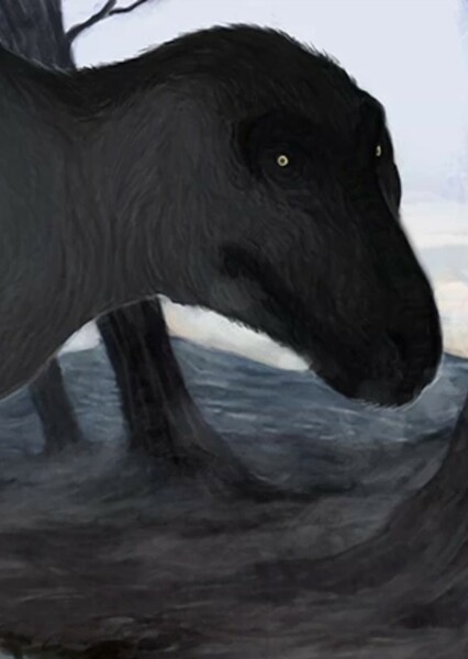 Nanuqsaurus photo
