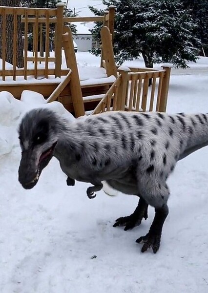 Nanuqsaurus (Dino Dana)