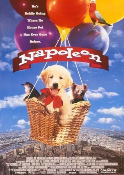 Napoleon (1995)