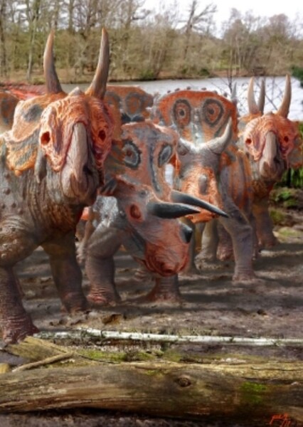 Nasutoceratops photo