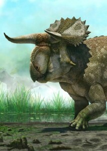 Nasutoceratops