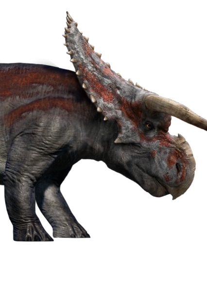 Nasutoceratops photo