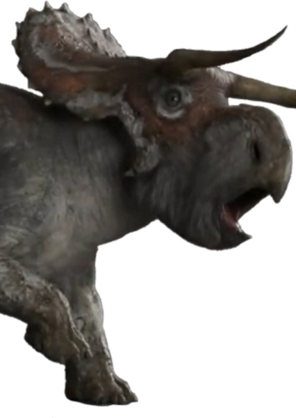 Nasutoceratops photo