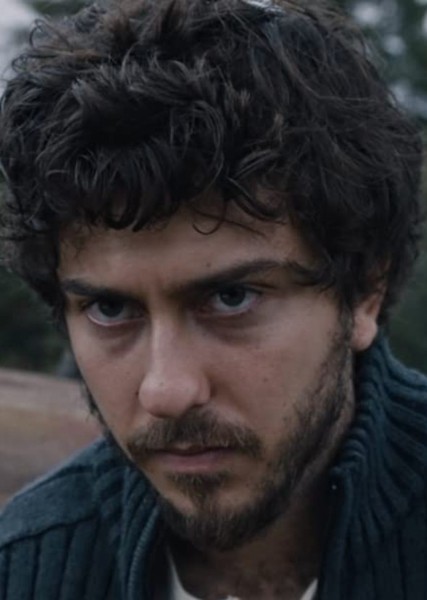 Nat Wolff photo