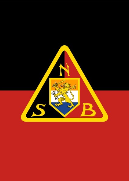 National Socialist Movement (Netherlands)