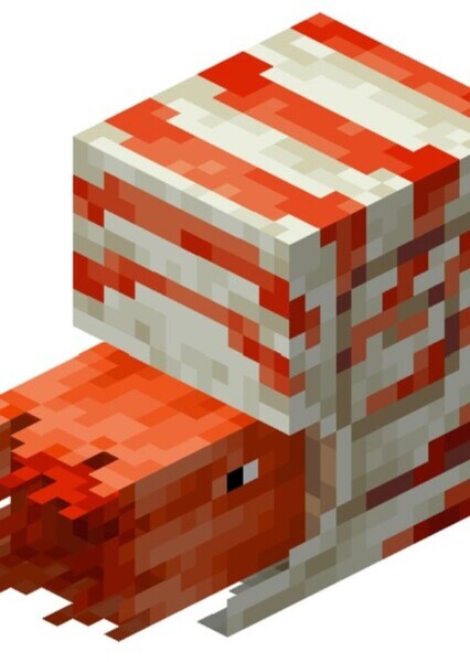 Nautile (Minecraft Java & Bedrock Edition)