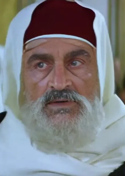 Navid Negahban photo