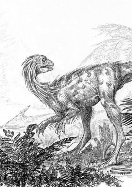 Nedcolbertia