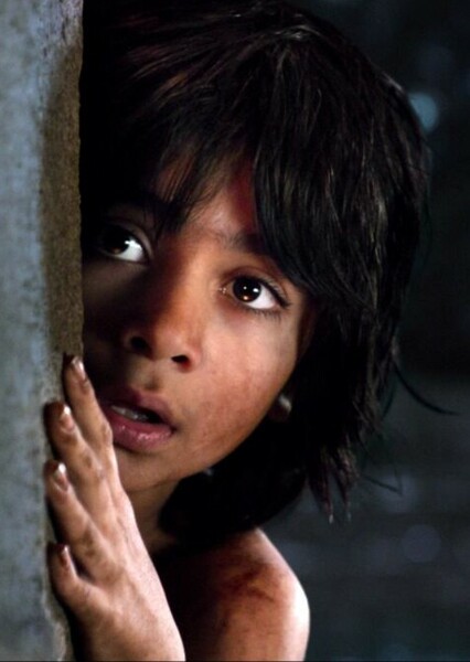 Neel Sethi photo