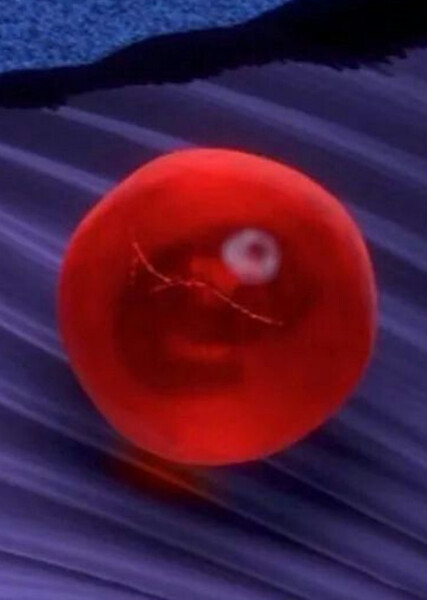 Nemo photo