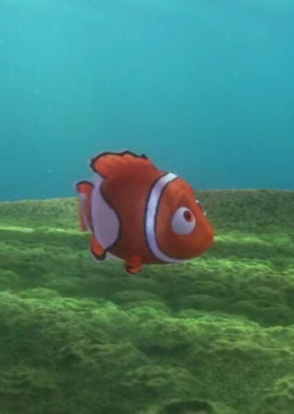 Nemo (Finding Nemo) photo