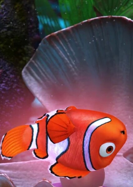 Nemo (Finding Nemo) photo