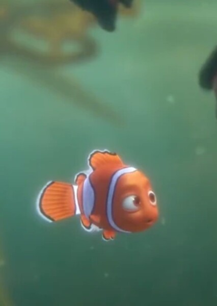 Nemo (Finding Nemo) photo