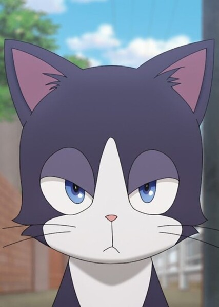 Nemu Miyao photo