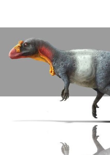 Neovenator