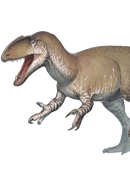 Neovenator photo