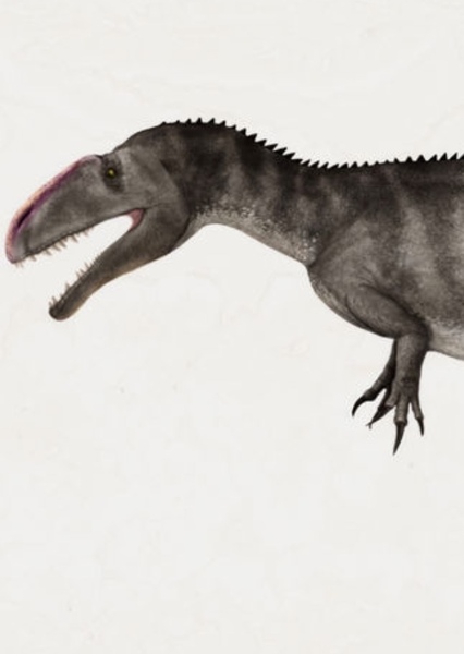 Neovenator photo