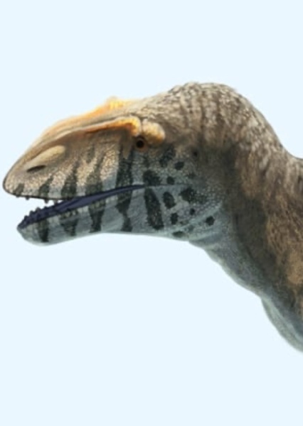 Neovenator photo