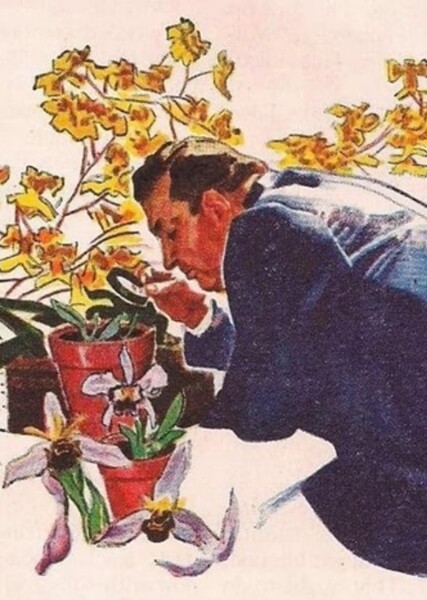Nero Wolfe