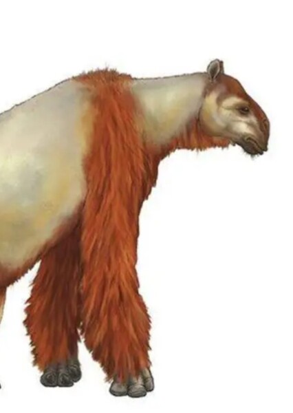 Nestortherium
