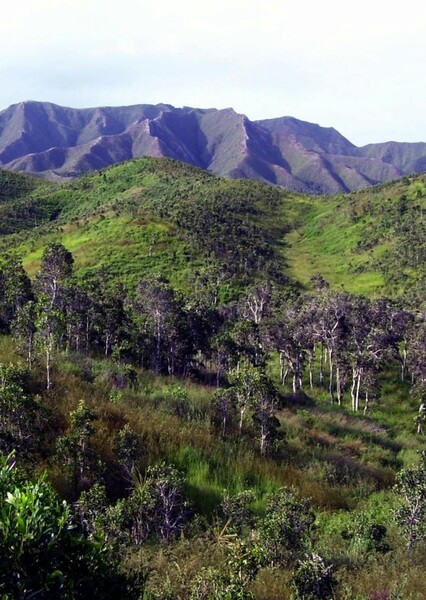 New Caledonia