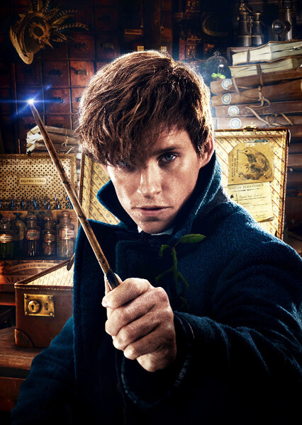 Newt Scamander