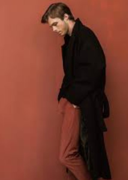 Nicholas Hamilton photo