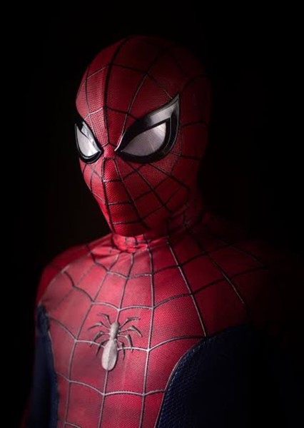 Nicholas Hammond as Spider-Man (Hammondverse) in Spider-Man: No Way Home (Original Idea)