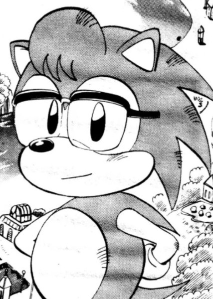 Nicky the Hedgehog photo