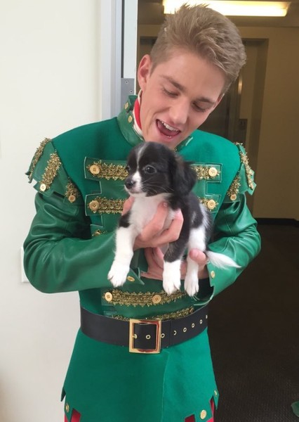 Nico Greetham photo